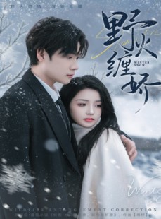 短剧《野火缠娇》66集短剧1080P在线免费赏
