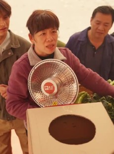 短剧《1987今夜不眠》79集短剧全集高清在线追剧神器