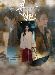 短剧《寻她》64集短剧超清画质无广告观看