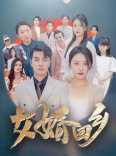 短剧《女婿回乡》120集短剧全集高清在线免费一口气看完