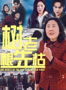 短剧《树老根先枯》33集短剧全集高清流畅追剧体验