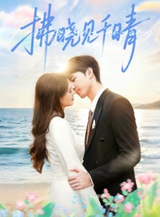 短剧《拂晓见千晴》60集短剧高清无删减版免费看