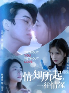 短剧《情知所起一往情深》53集短剧全集高清流畅网盘资源