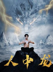 短剧《人中龙》80集短剧全集高清在线不间断看