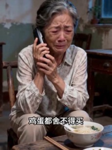 短剧《铁蛋消失的养老金》35集短剧免费观看无广告