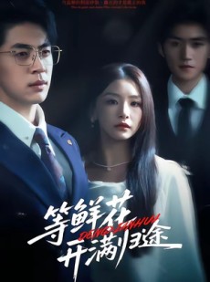 短剧《等鲜花开满归途》61集短剧1080P高清免费看全集