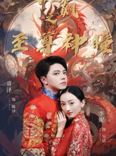 短剧《狂飙之至尊神瞳》100集短剧蓝光画质全集无广告