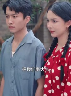 短剧《完美人生从回到八零开始》94集短剧完整版免费观赏