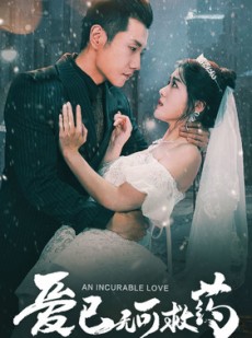 短剧《爱已无可救药》83集短剧全集流畅不卡顿