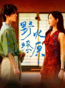 短剧《野火燎原》72集短剧完整版免费畅享观看