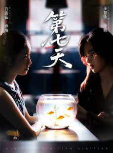 短剧《第七天》48集短剧全集在线免费畅享
