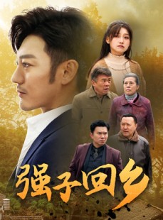 短剧《强子回乡》35集短剧手机移动端随时看