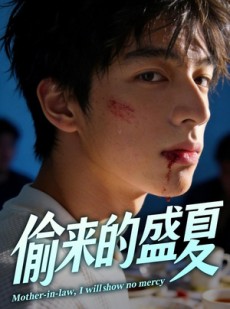 短剧《偷来的盛夏》40集短剧全集资源免费在线看