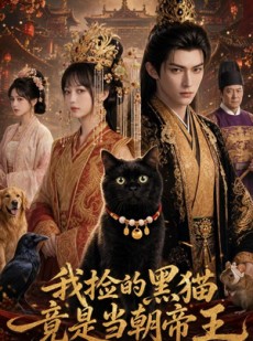 短剧《我捡的黑猫竟是当朝帝王》63集短剧无删减全集免费看