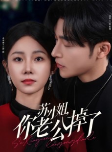 短剧《苏小姐你老公掉了》80集短剧蓝光画质无广告观看