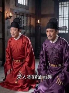 短剧《当阿斗重生成赵构：朕靠战神开盛世！》78集短剧超清全集免费看