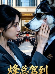 短剧《烽总驾到》32集短剧全集在线观看不卡顿