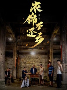 短剧《衣锦不还乡》69集短剧无删减版在线看全集