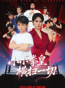 短剧《小小拳皇横扫一切》60集短剧1080P高清在线速看