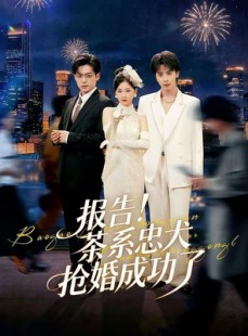 短剧《报告！茶系忠犬抢婚成功了》83集短剧完整版免费畅享