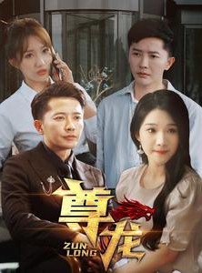 短剧《新版：尊龙》97集短剧高清流畅在线观看