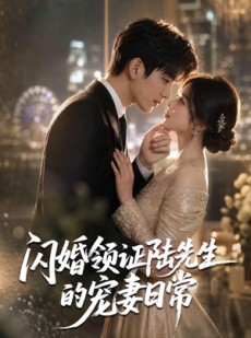 短剧《闪婚领证陆先生的宠妻日常》72集短剧全集在线免费看大结局