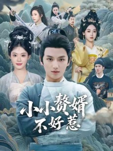 短剧《小小赘婿不好惹》64集短剧免费观看一口气看大结局