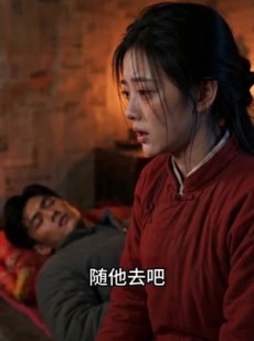 短剧《陈岩的故事》120集短剧免费在线观看完整版