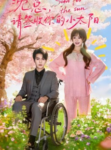 短剧《沈总，请签收你的小太阳》80集短剧超清画质在线追剧