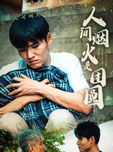 短剧《人间烟火是团圆》88集短剧全集高清下载随时看
