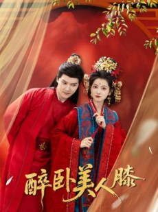 短剧《醉卧美人膝》66集短剧超清画质免费在线观