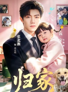 短剧《归家》70集短剧全集在线免费放送