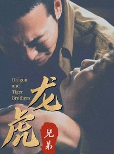 短剧《龙虎兄弟》80集短剧全集免费在线观看无需会员