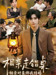 短剧《相亲走错桌：相亲对象绑我结婚》81集短剧超清画质免费看全剧