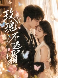短剧《玫瑰不遇霜》42集短剧免费看完整版全集
