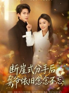 短剧《断崖式分手后，枭爷依旧念念不忘》66集短剧在线观看无广告全集
