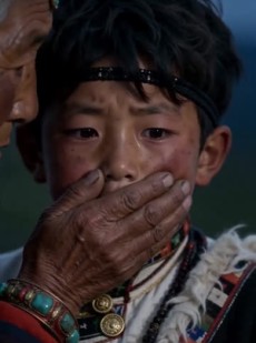 短剧《藏寨熊影》43集短剧1080P高清免费观看