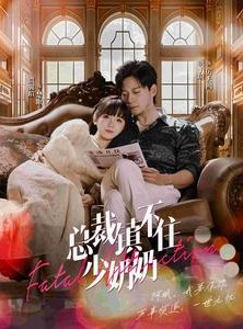 短剧《总裁镇不住少奶奶》101集短剧一键解锁全集畅享版