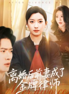短剧《离婚后前妻成了金牌律师》94集短剧超清画质在线追剧