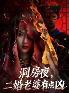 短剧《洞房夜，二婚老婆有点凶》66集短剧在线解锁全集观看