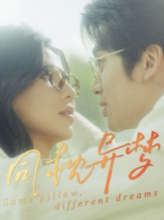 短剧《同枕异梦》50集短剧官方正版在线观看