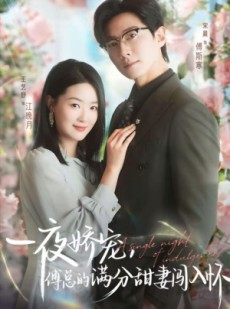 短剧《天才萌宝傅总宠妻超甜》60集短剧免费观看无广告版