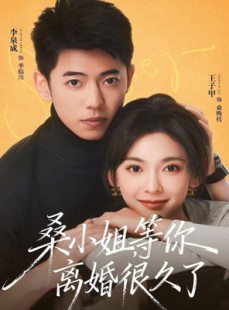 短剧《桑小姐，等你离婚很久了》70集短剧完整版免费畅享