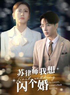 短剧《苏律师我想闪个婚》95集短剧蓝光画质VIP免费看