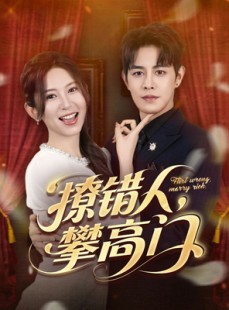 短剧《撩错人攀高门》73集短剧高清流畅在线免费看