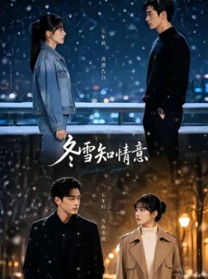 短剧《冬雪知情意》15集短剧超清画质免费观看