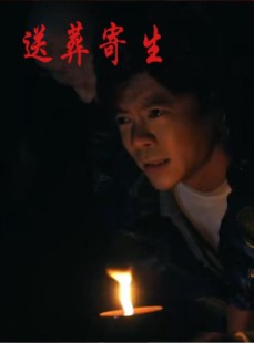 短剧《送葬寄生》100集短剧1080P超清在线免费看