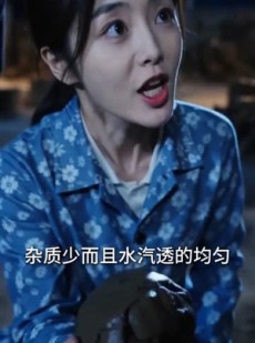 短剧《泥火生花》54集短剧1080P在线免费赏剧