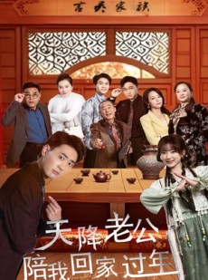 短剧《天降老公陪我回家过年》60集短剧每日更新追剧不停歇