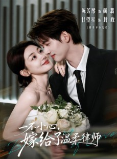 短剧《一不小心，嫁给了温柔律师》65集短剧1080P在线观看全集